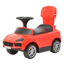 RID-ON-PUSH-CAR-3228-111.jpg